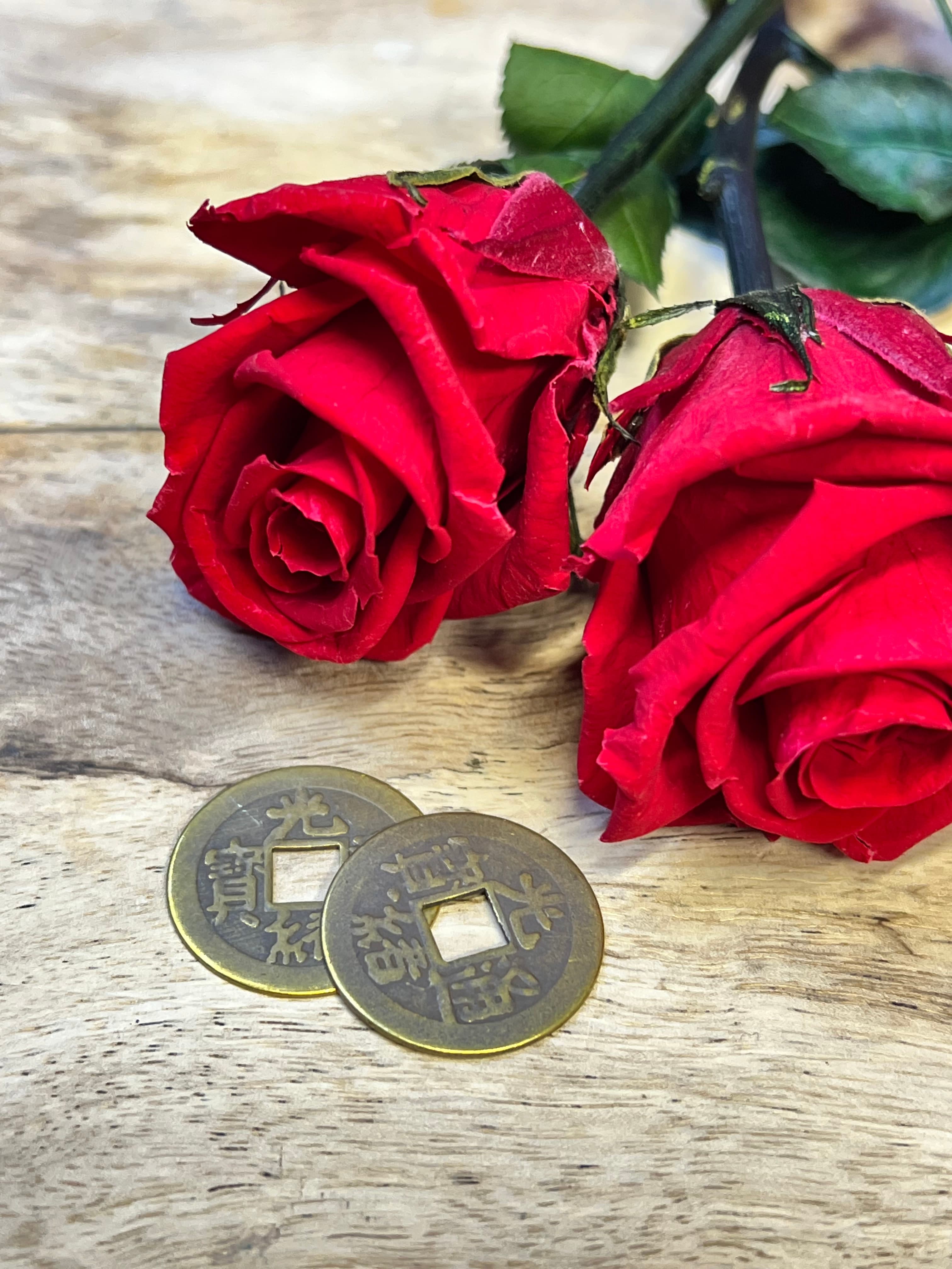 Chinese Lucky Coin